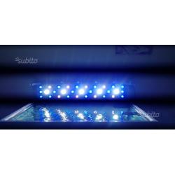 Acquario lampada led per coralli